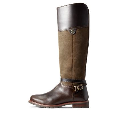 Ariat Carden Waterproof - Lange Laarzen Chocola / Olijfgroen Dames - 41822-477